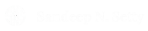 Sandeep N. Setty
